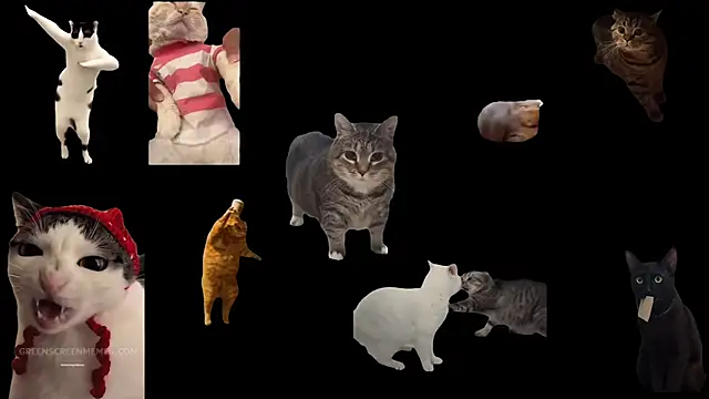 Snapshot of ch0wn_m chatting on 24, 10, 2025 ch0wn m online show from 24, 10, 2025