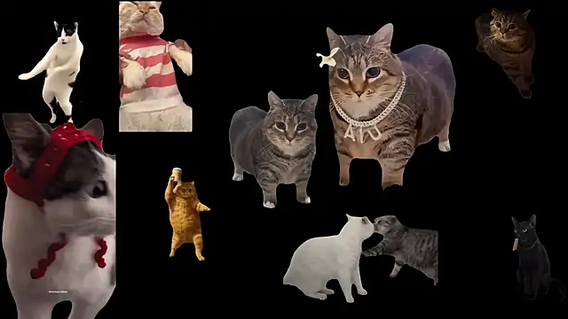 Snapshot of ch0wn_m chatting on 19, 11, 2025 ch0wn m online show from 19, 11, 2025