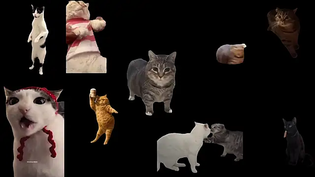 Snapshot of ch0wn_m chatting on 3, 10, 2025 ch0wn m online show from 3, 10, 2025