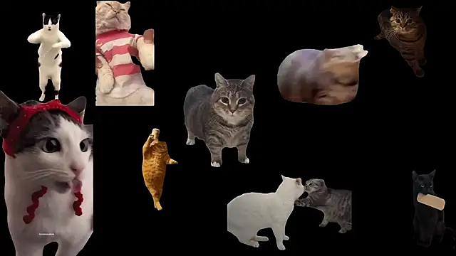 Snapshot of ch0wn_m chatting on 17, 11, 2025 ch0wn m online show from 17, 11, 2025