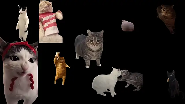 Snapshot of ch0wn_m chatting on 19, 9, 2025 ch0wn m online show from 19, 9, 2025