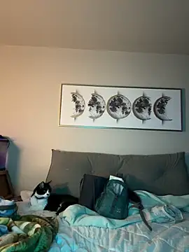 petalsexy online show from 17, 11, 2025