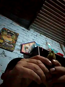 Lujor online show from 13, 5, 2026