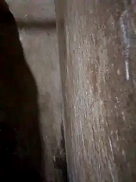 Lujor online show from 31, 3, 2026