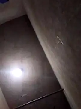 Lujor online show from 8, 4, 2026