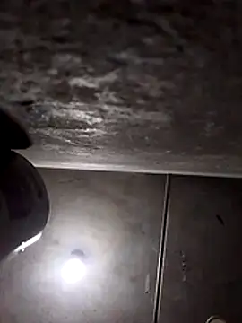 Lujor online show from 28, 3, 2026