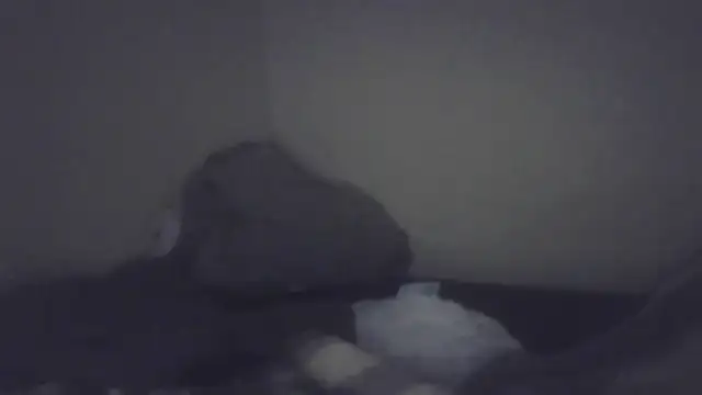 cuminsidebby online show from 7, 2, 2026