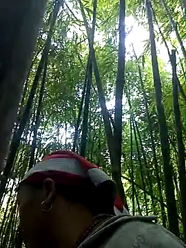 Bibilenu online show from 1, 12, 2025