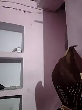 sexykrisha online show from 15, 11, 2025