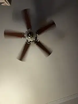 bb empress online show from 1, 12, 2025