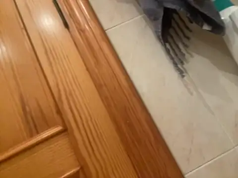 Snapshot of Guillermoperujo chatting on 1, 11, 2025 Guillermoperujo online show from 1, 11, 2025