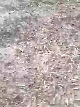 sonotutto online show from 16, 10, 2025