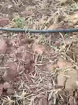 sonotutto online show from 21, 9, 2025