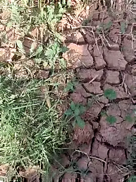 sonotutto online show from 15, 10, 2025