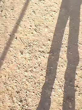 sonotutto online show from 8, 10, 2025