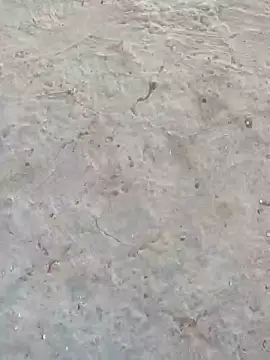 sonotutto online show from 9, 10, 2025