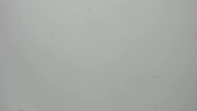 invincible200 online show from 15, 9, 2025