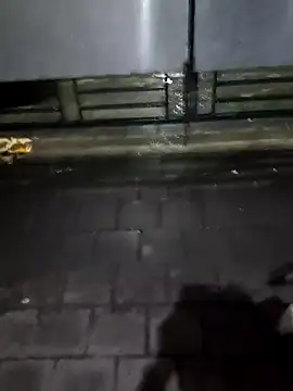 boysxx online show from 30, 10, 2025