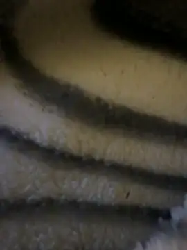 Simon-xx online show from 15, 2, 2026