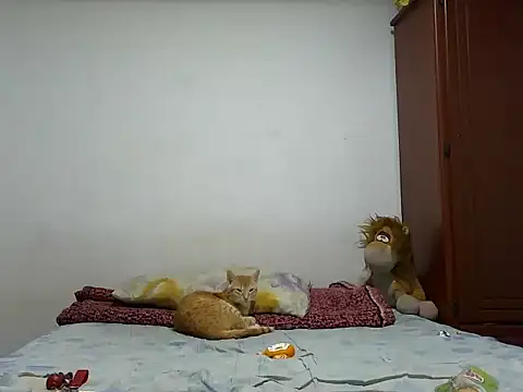 MeganAndMaxxh online show from 28, 10, 2025