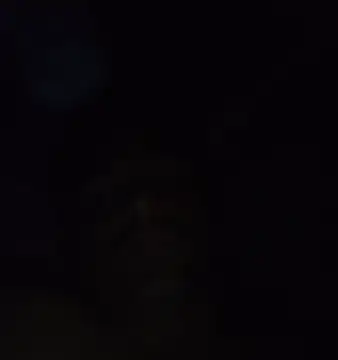 ramesh65 online show from 13, 3, 2026