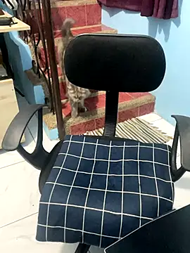 ieat monsters online show from 6, 10, 2025