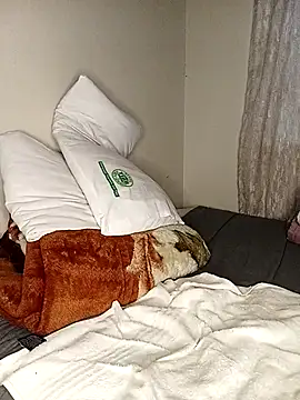 WaiterZim online show from 5, 1, 2026