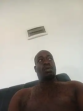 WaiterZim online show from 24, 5, 2026