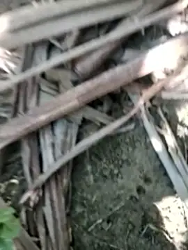 Snapshot of Real_Sucker chatting on 28, 11, 2025 Real Sucker online show from 28, 11, 2025