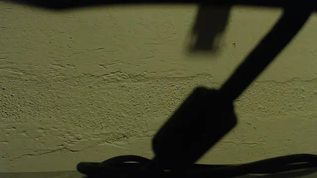 DotexxBig Keitt online show from 6, 1, 2026