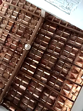 carloseduardo200319 online show from 9, 9, 2025