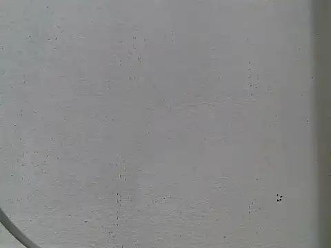 Jelloshane online show from 28, 2, 2026