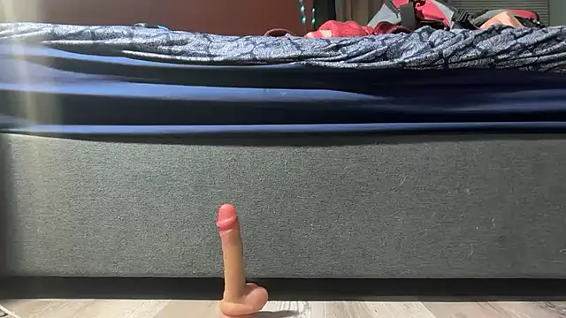 bearcub300 online show from 18, 12, 2025