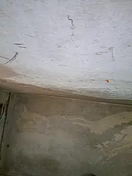 Snapshot of Sgaf39 chatting on 27, 9, 2025 Sgaf39 online show from 27, 9, 2025