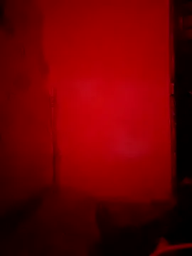 sweetsinisabella online show from 4, 10, 2025