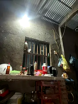 Sunny lotus online show from 8, 11, 2025