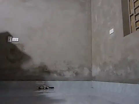 Snapshot of Bjorn357 chatting on 3, 3, 2026 Bjorn357 online show from 3, 3, 2026