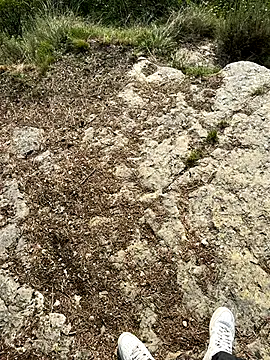 Manu97k online show from 9, 9, 2025