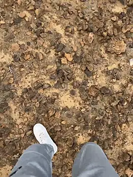 Manu97k online show from 12, 3, 2026