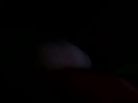 Snapshot of astridcollinsvip chatting on 25, 10, 2025 astridcollinsvip online show from 25, 10, 2025