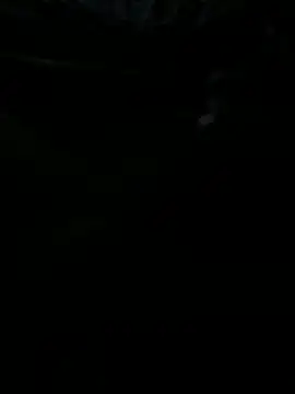 Snapshot of Reeelo chatting on 31, 10, 2025 Reeelo online show from 31, 10, 2025