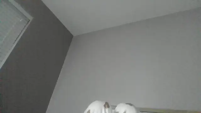 SexyKatiex online show from 2, 12, 2025