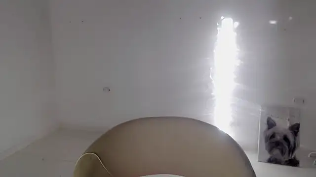 Stein  online show from 19, 9, 2025