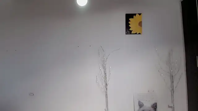 Stein  online show from 15, 9, 2025