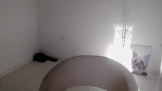 Stein  online show from 24, 9, 2025