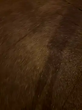 Foxfoxfox4 online show from 28, 11, 2025