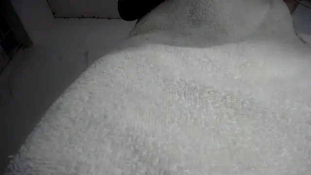 Snapshot of Foxy_Lovex chatting on 7, 2, 2026 Foxy Lovex online show from 7, 2, 2026