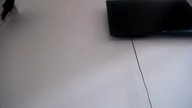 Foxy Lovex online show from 7, 4, 2026