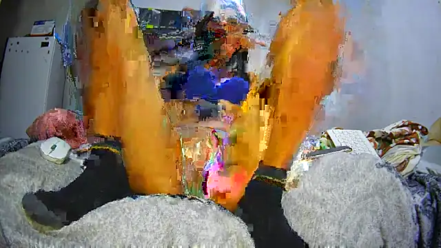 apoloniabelucci online show from 15, 11, 2025