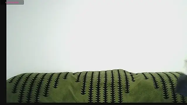 Belinda66 online show from 27, 11, 2025